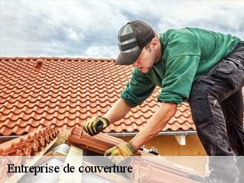 Entreprise de couverture  85750