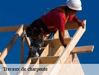 Travaux de charpente