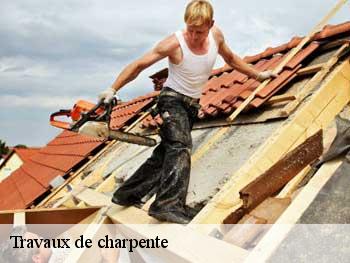 Travaux de charpente