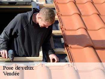 Pose de velux Vendée 