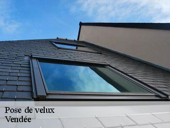 Pose de velux Vendée 