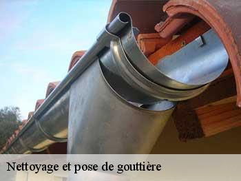 Nettoyage et pose de gouttière