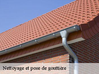 Nettoyage et pose de gouttière