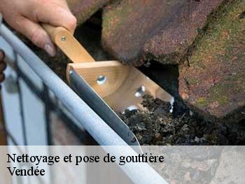 Nettoyage et pose de gouttière Vendée 