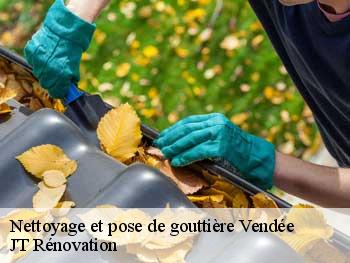 Nettoyage et pose de gouttière Vendée 