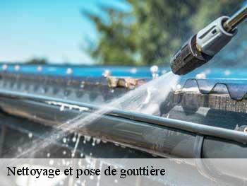 Nettoyage et pose de gouttière Vendée 