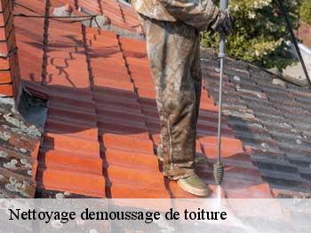 Nettoyage demoussage de toiture