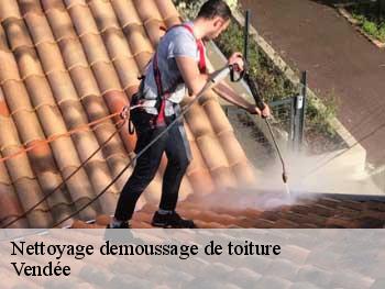 Nettoyage demoussage de toiture