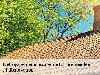 Nettoyage demoussage de toiture 85 Vendée Alec Couverture 85