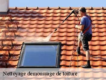 Nettoyage demoussage de toiture