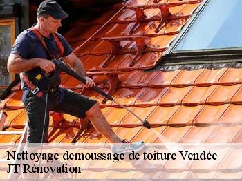 Nettoyage demoussage de toiture Vendée 