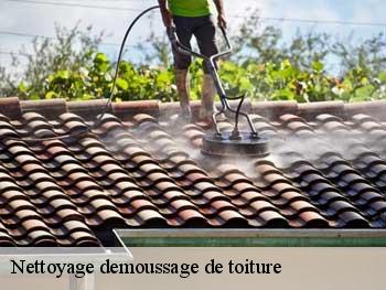 Nettoyage demoussage de toiture Vendée 