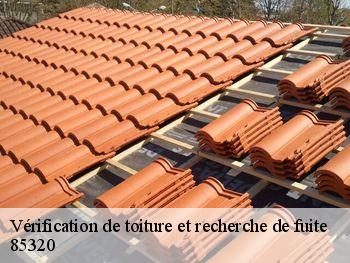 Vérification de toiture et recherche de fuite 85320