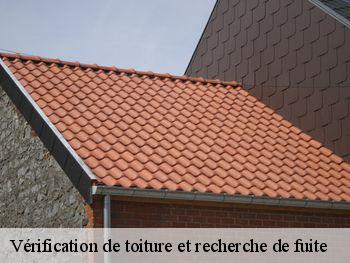 Vérification de toiture et recherche de fuite