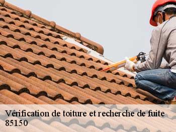 Vérification de toiture et recherche de fuite 85150