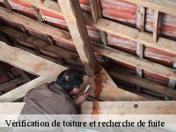 Vérification de toiture et recherche de fuite 85150