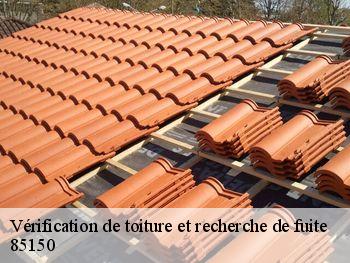 Vérification de toiture et recherche de fuite 85150