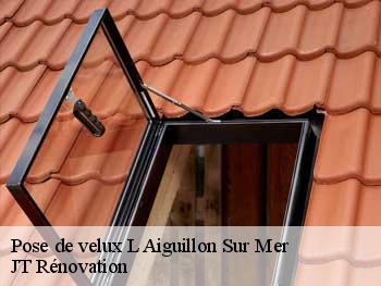 Pose de velux  85460