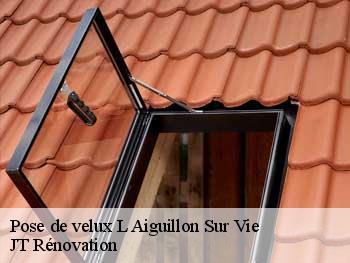 Pose de velux 85220