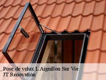 Pose de velux  85220