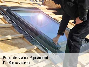 Pose de velux  apremont-85220 JT Rénovation