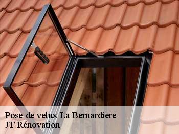 Pose de velux  85610