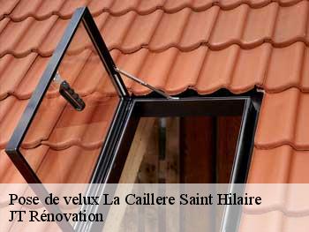 Pose de velux  85410