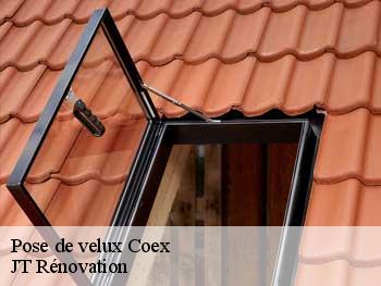 Pose de velux  85220