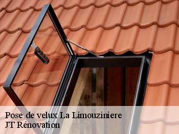 Pose de velux  85310