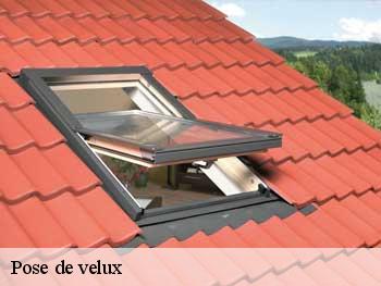 Pose de velux