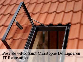 Pose de velux  85670