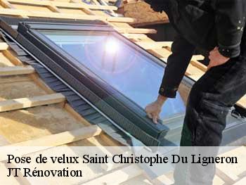 Pose de velux saint-christophe-du-ligneron-85670 M. Beaumann