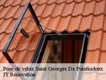 Pose de velux  85150