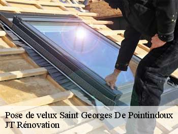 Pose de velux  saint-georges-de-pointindoux-85150 JT Rénovation