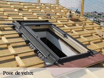 Pose de velux 85110