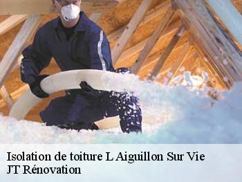 Isolation de toiture  l-aiguillon-sur-vie-85220 JT Rénovation