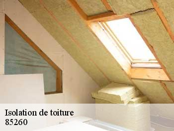 Isolation de toiture  85260