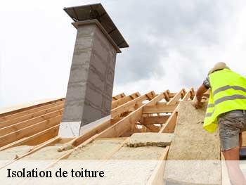 Isolation de toiture 85200