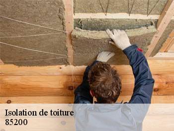 Isolation de toiture 85200