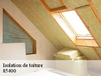 Isolation de toiture  85400