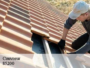 Couvreur 85200