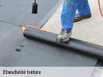 Etanchéité toiture 85130