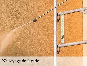 Nettoyage de façade 85670