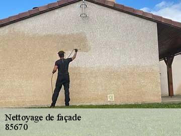 Nettoyage de façade 85670
