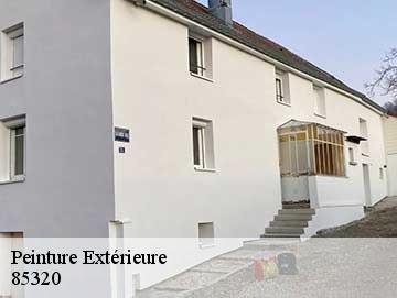 Peinture Extérieure 85320