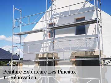 Peinture Extérieure 85320
