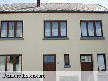 Peinture Extérieure 85320