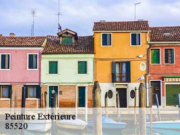 Peinture Extérieure 85520